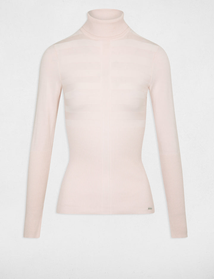 Pull col roulé ajusté