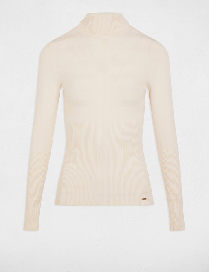Pull col roulé ajusté