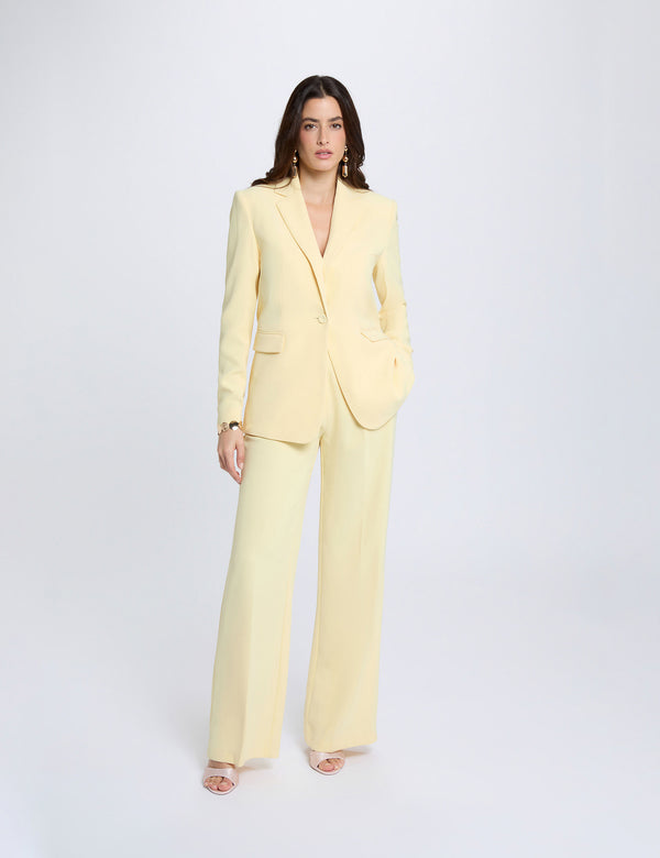 Veste col tailleur